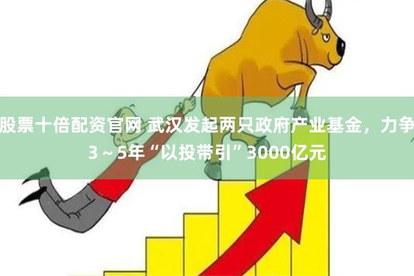 股票十倍配资官网 武汉发起两只政府产业基金，力争3～5年“以投带引”3000亿元