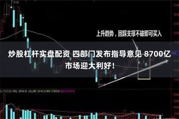 炒股杠杆实盘配资 四部门发布指导意见 8700亿市场迎大利好！