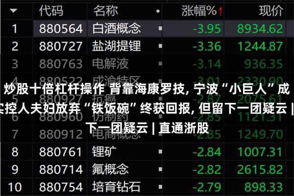 炒股十倍杠杆操作 背靠海康罗技, 宁波“小巨人”成功上市, 实控人夫妇放弃“铁饭碗”终获回报, 但留下一团疑云 | 直通浙股