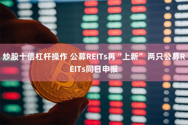 炒股十倍杠杆操作 公募REITs再“上新” 两只公募REITs同日申报