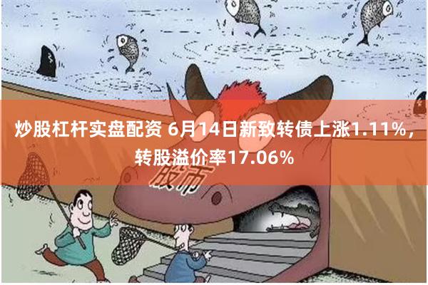 炒股杠杆实盘配资 6月14日新致转债上涨1.11%，转股溢价率17.06%