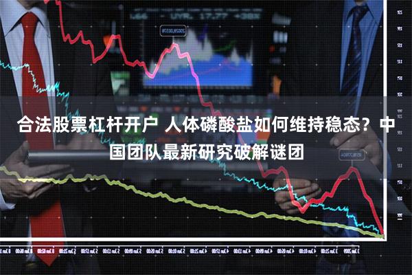 合法股票杠杆开户 人体磷酸盐如何维持稳态？中国团队最新研究破解谜团