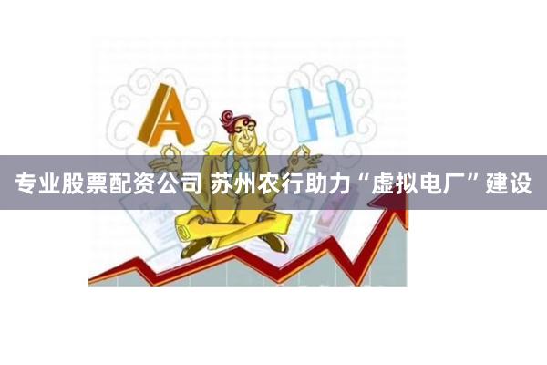 专业股票配资公司 苏州农行助力“虚拟电厂”建设