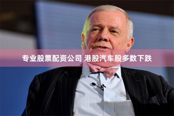 专业股票配资公司 港股汽车股多数下跌