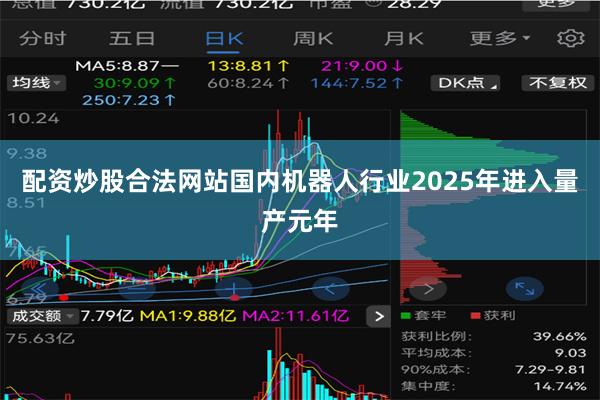 配资炒股合法网站国内机器人行业2025年进入量产元年
