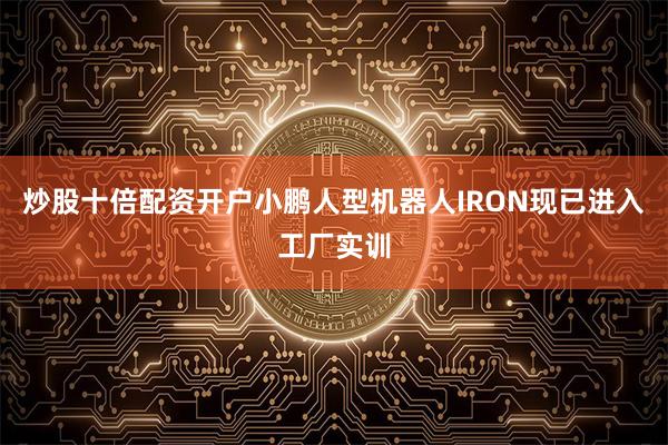 炒股十倍配资开户小鹏人型机器人IRON现已进入工厂实训